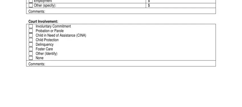 Finishing case management intake assessment form sample part 4