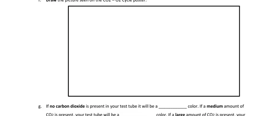 step 2 to completing carbon transfer through snails and elodea virtual lab worksheet answers