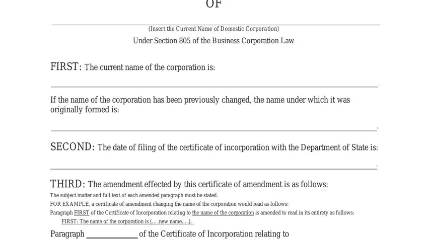 NY Amendment form section 1 fields