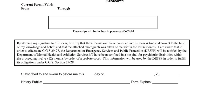 Entering details in ct permit renewal stage 2