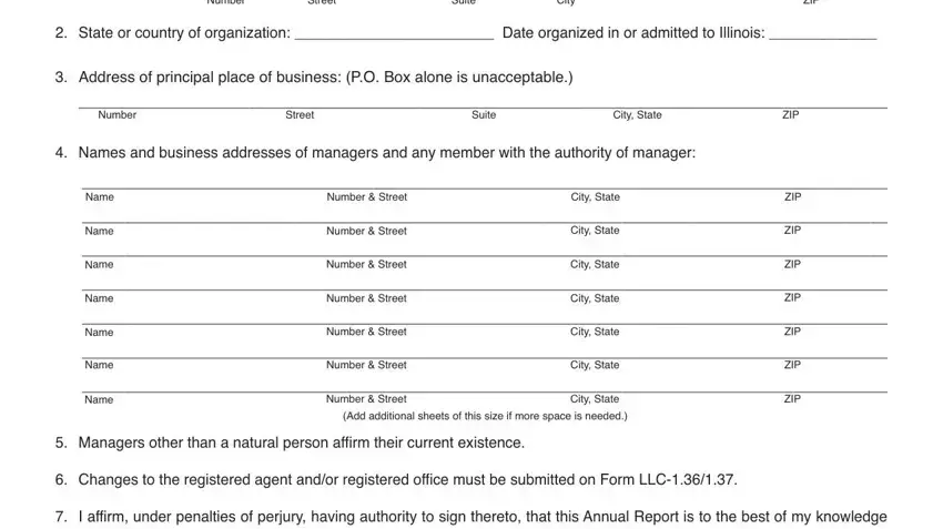 Filling in illinois limited liability report stage 2