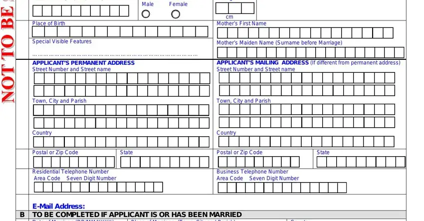 jamaican passport application Date of Birth DDMMYYYY, Sex Male Female, Height, Place of Birth, Special Visible Features, cm Mothers First Name, Mothers Maiden Name Surname before, APPLICANTS PERMANENT ADDRESS, APPLICANTS MAILING ADDRESS If, Town City and Parish, Town City and Parish, Country, Country, Postal or Zip Code, and State fields to fill out
