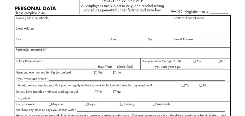 portion of empty spaces in big lots application pdf