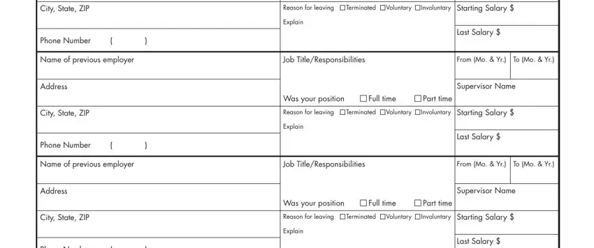big lots application pdf City State ZIP, Phone Number, Name of previous employer, Address, City State ZIP, Phone Number, Name of previous employer, Address, City State ZIP, Phone Number, Reason for leaving, Terminated, Voluntary, Involuntary, and Starting Salary blanks to complete