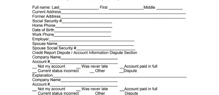 universal data form credit reporting spaces to fill out