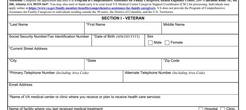 Filling in Va Form 10 10Cg step 4