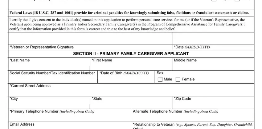 step 5 to entering details in Va Form 10 10Cg