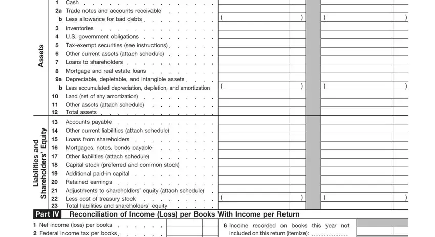 Balance sheet section of irs form 1120a