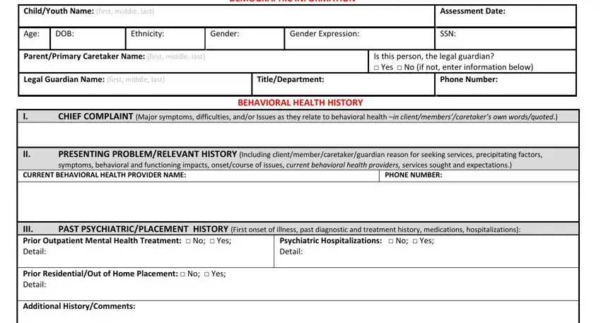 Filling out segment 1 of 1915c assessment form