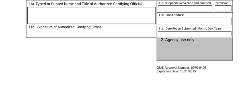 Authorization section of ACF Performance Progress Report Form