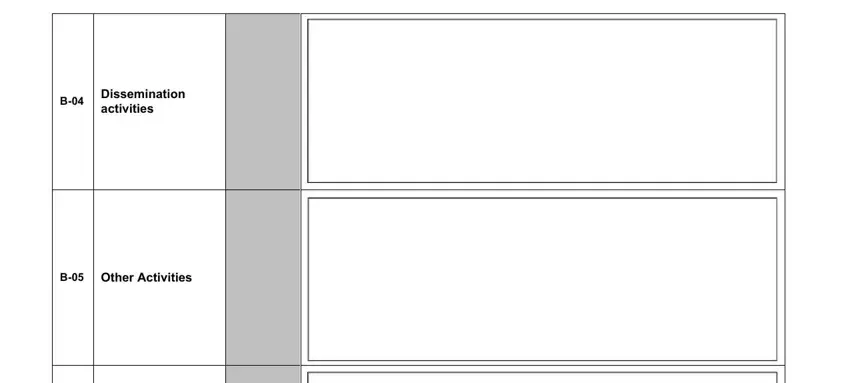 Final section of ACF Performance Progress Report Form
