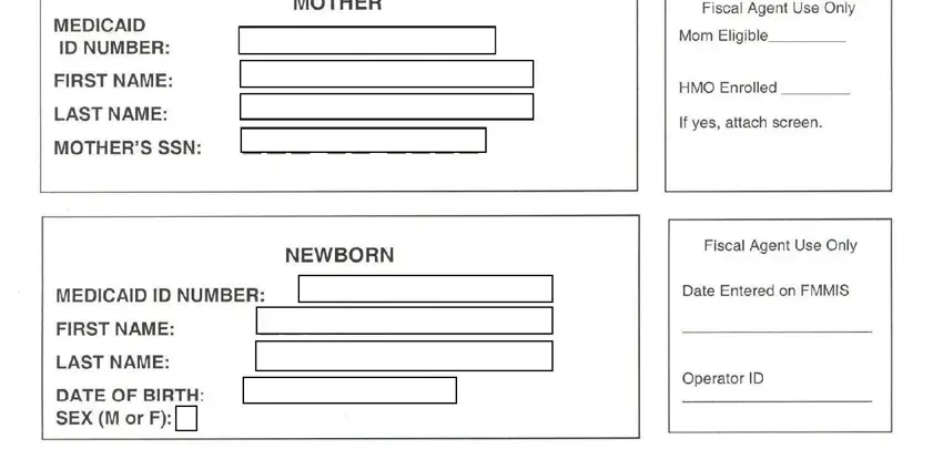 How to fill in AHCA Form 5240 006 - mother information fields