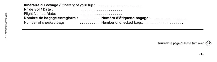 Air France Lettre Inventaire step 4 - flight itinerary and checked bags
