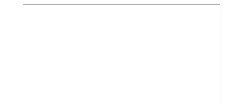 Prior appeals and ADR history section of the appellate screening form