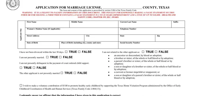 Stage # 1 in submitting of marriage texas