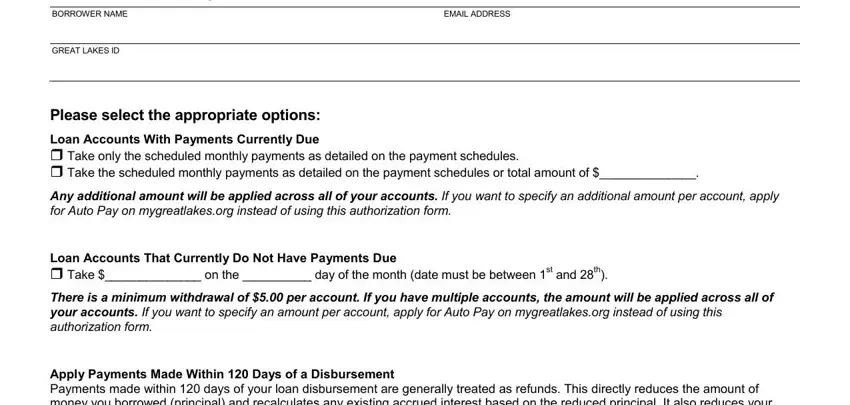 Auto authorization form Section 2 showing loan account and payment amount fields