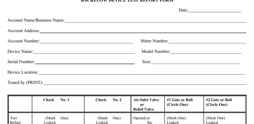 Stage no. 1 in completing backflow test sheet