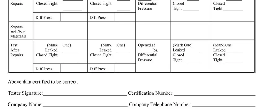 Diff Press, Opened at lbs Differential Pressure, and Diff Press of backflow test sheet
