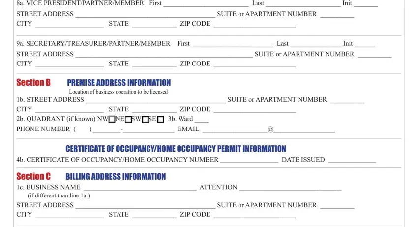 STREET ADDRESS  SUITE or APARTMENT, PREMISE ADDRESS INFORMATION, and Section C c BUSINESS NAME  in bbl ez form washington dc