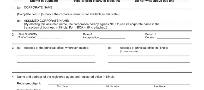 business illinois form search writing process shown (stage 1)