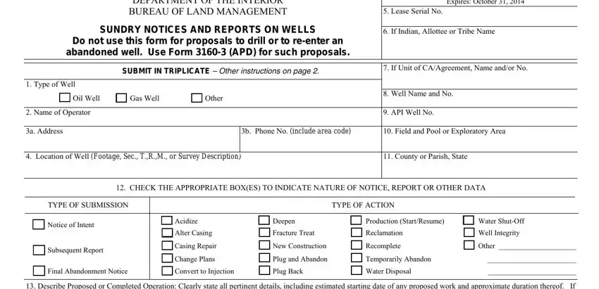 form 3160 5 writing process detailed (step 1)