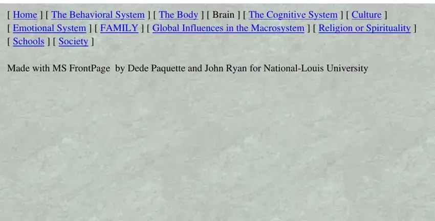 bronfenbrenner blank model conclusion process detailed (stage 5)