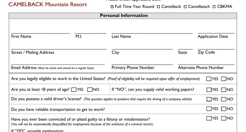 Personal information fields on the Camelback Employment Application form