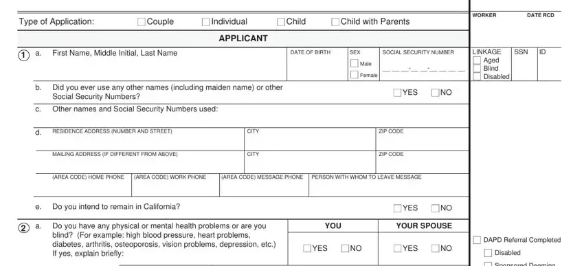 CAPI Form SOC 814 - step 1 writing process