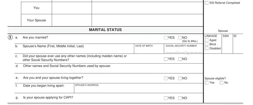 CAPI Form SOC 814 - section 2 personal information