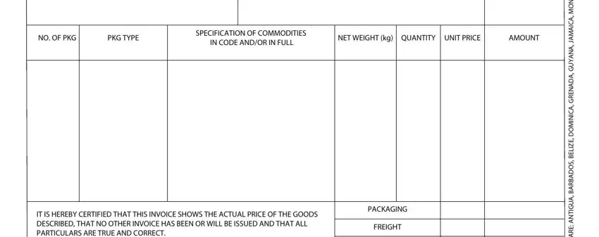 Guidelines on how to prepare where caricom invoices step 2
