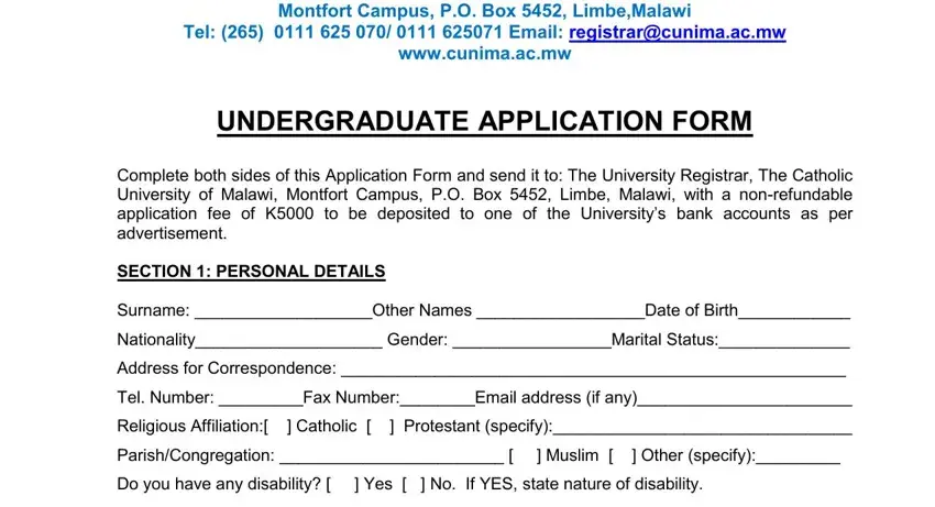 Filling out the CUNIMA application form fields online