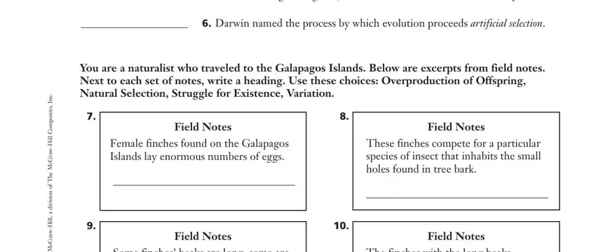 Chapter 15 Theory of Evolution Worksheet - FormsPal