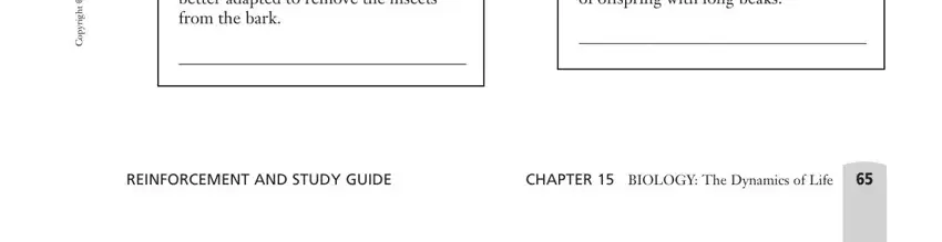 Chapter 15 Theory of Evolution Worksheet - FormsPal