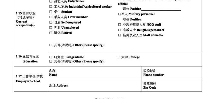 Chinese visa application form Part 2 - occupation and education information
