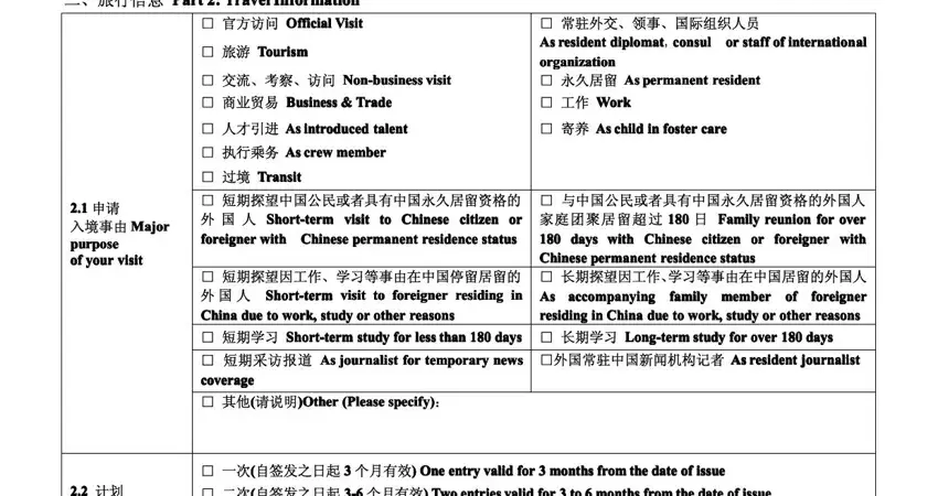China Application Form — visa type and purpose section