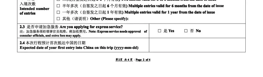 China Application Form — final review and signature section