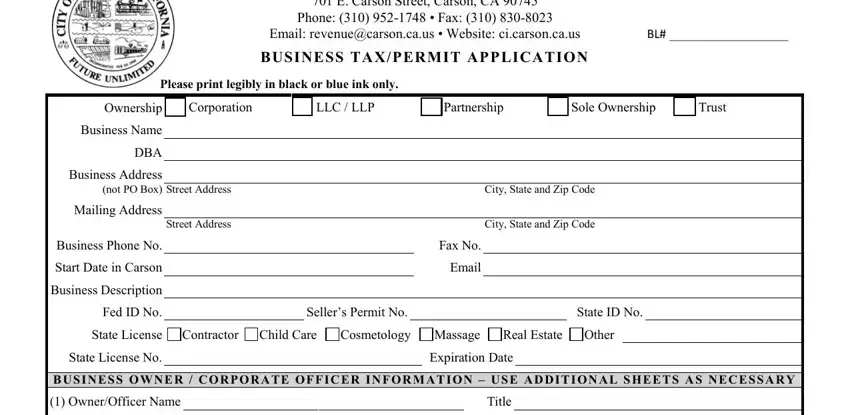 business tax application carson writing process described (stage 1)