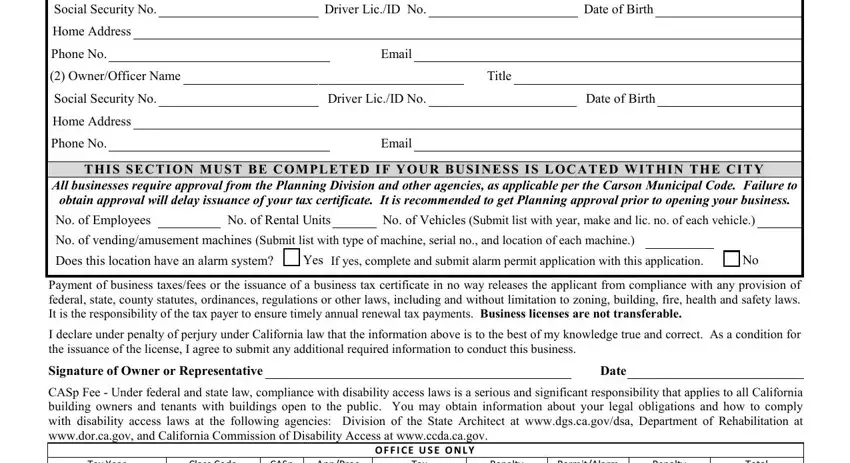 business tax application carson conclusion process outlined (stage 2)