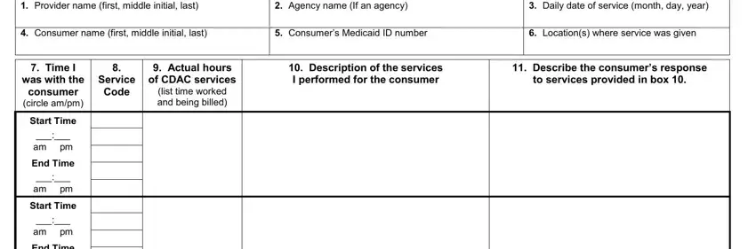 Daily service record form page 1 showing provider and consumer information fields