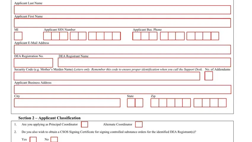 Filling in section 1 in dea252 pdf