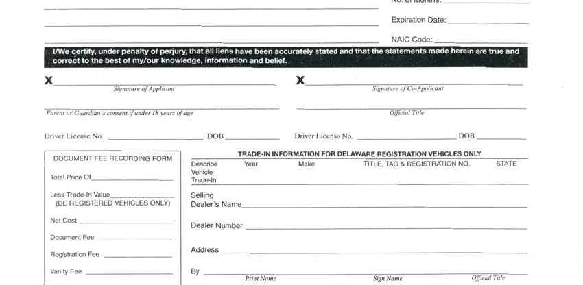 Sign Name, Print Name, and Sign Name inside delaware application form download