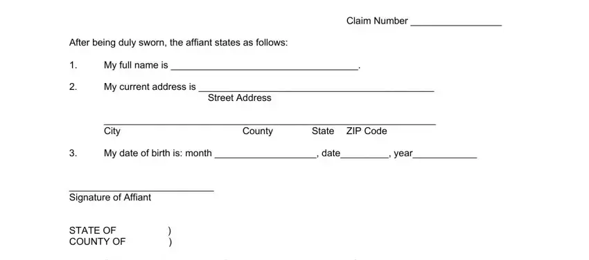 Completing segment 1 of dfs a4 2007 form