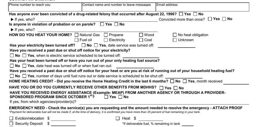 dhs ser form online application conclusion process shown (stage 2)