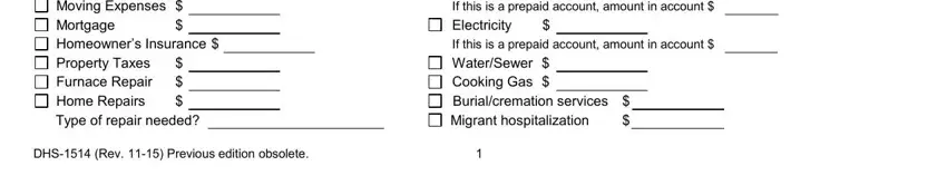 dhs ser form online application writing process explained (part 3)