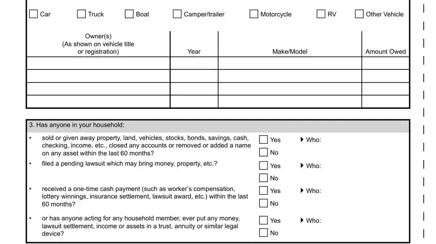 Year, Amount Owed, and As shown on vehicle title of michigan declaration patient