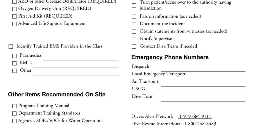 dan emergency action plan template completion process clarified (stage 2)