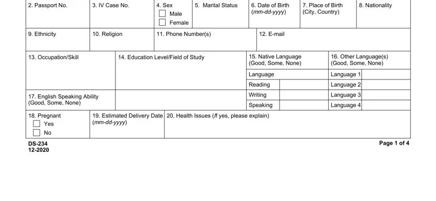 Place of Birth City Country, Date of Birth mmddyyyy, and Male of form biodata online