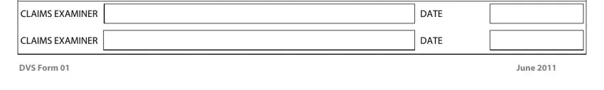 Writing segment 5 in Dvs Form 01