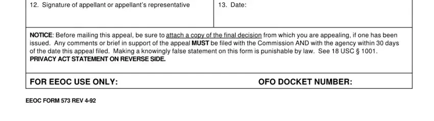 this field, next field, and other fields inside eeoc form 573 rev 2 09 pdf