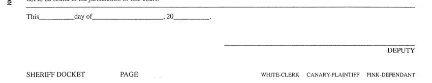 this field, next field, and other fields in sheriff's entry of service